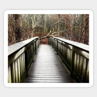 Boardwalk bridge,in the great Marsh, East Sandwich MA Sticker